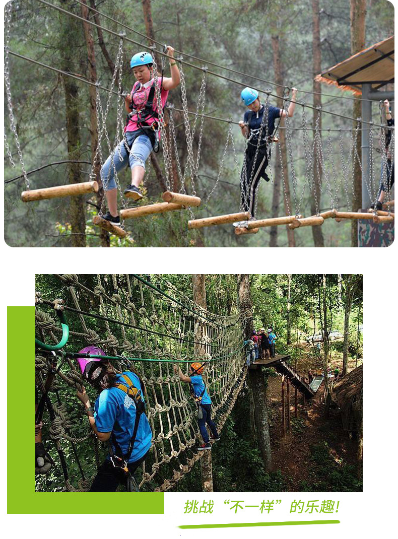 开云体育首页-包含大型森林徒步穿越，探索未知的自然奇境的词条