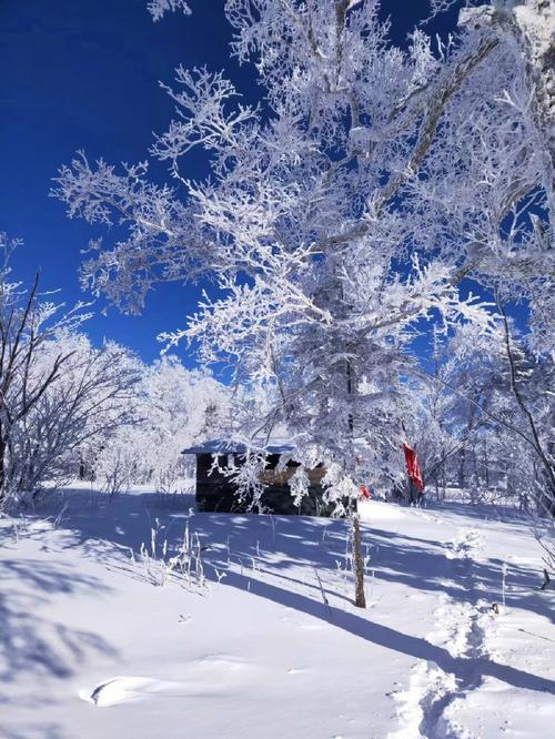 包含大型森林徒步穿越,探索未知的自然奇境的词条 包含大型森林徒步穿越,探索未知的自然奇境的词条