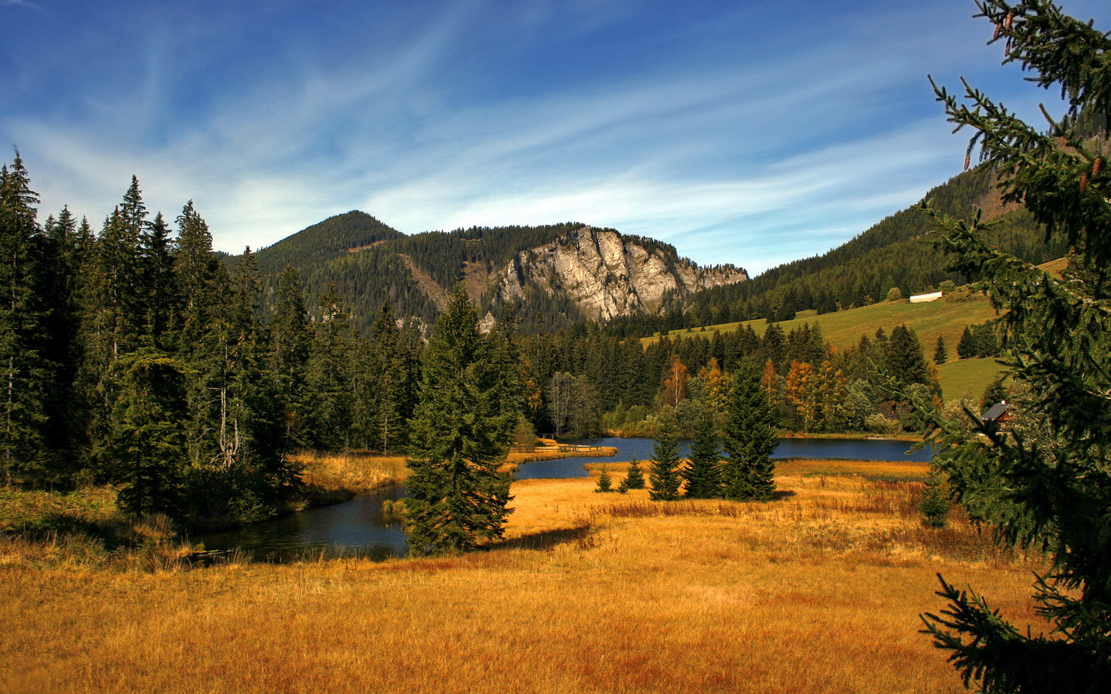 伊朗国家队备战亚洲杯,伊朗国家队备战亚洲杯是哪一年