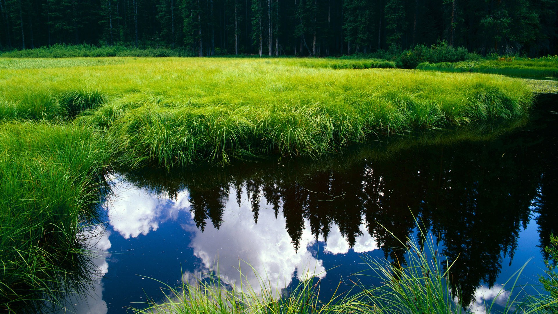 开云体育下载APP-亚琛狼队展现出色发挥，力克强敌取得胜利，亚琛gre