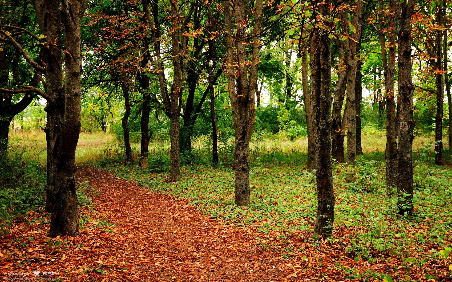 开云app安全认证-雷霆压哨战胜掘金，全明星赛前哨战中亚历山大砍下47分，亚历山大 雷霆队