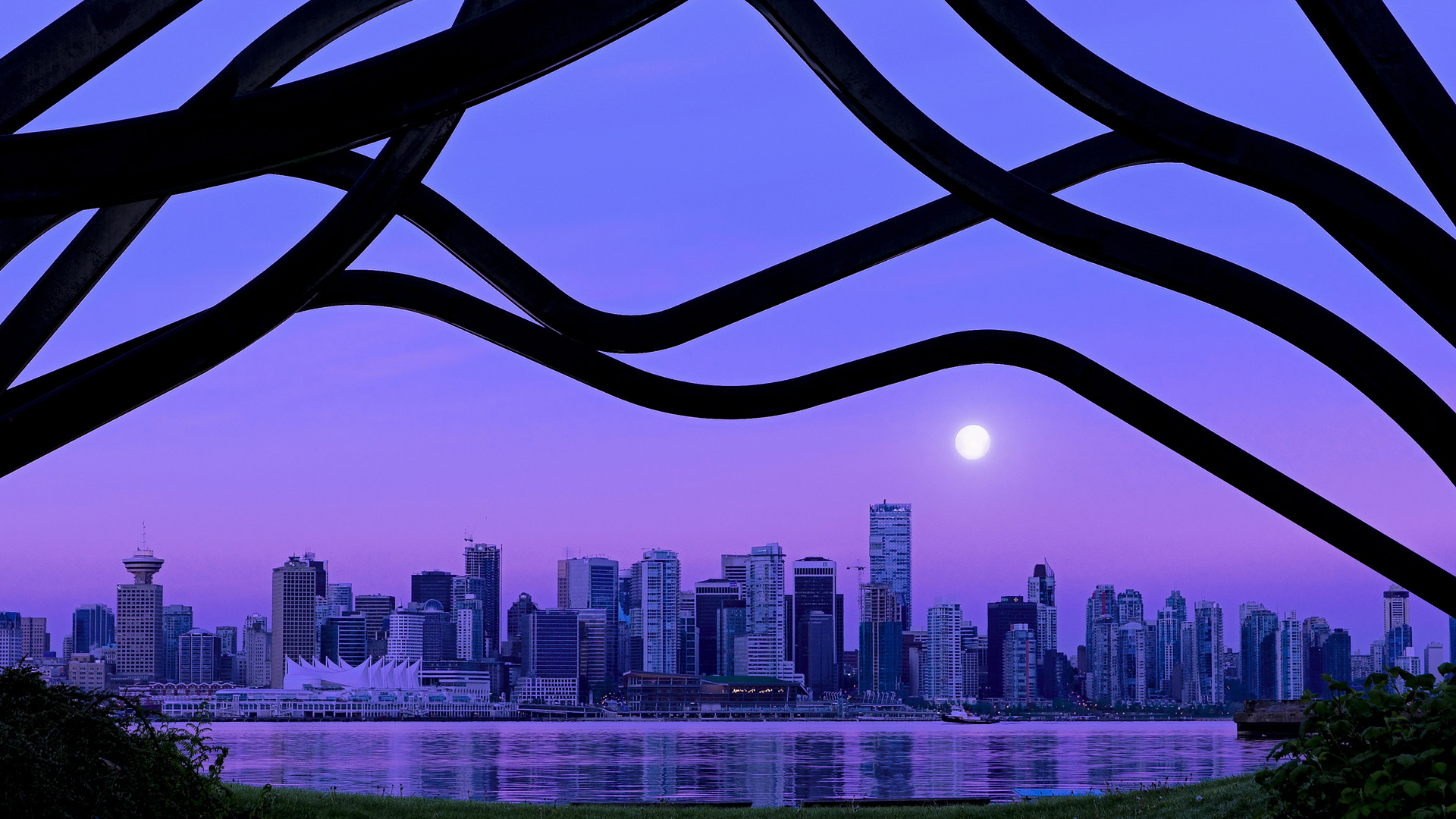 开云体育-数字体育平台内容传播与用户行为分析，数字平台成体育市场新焦点