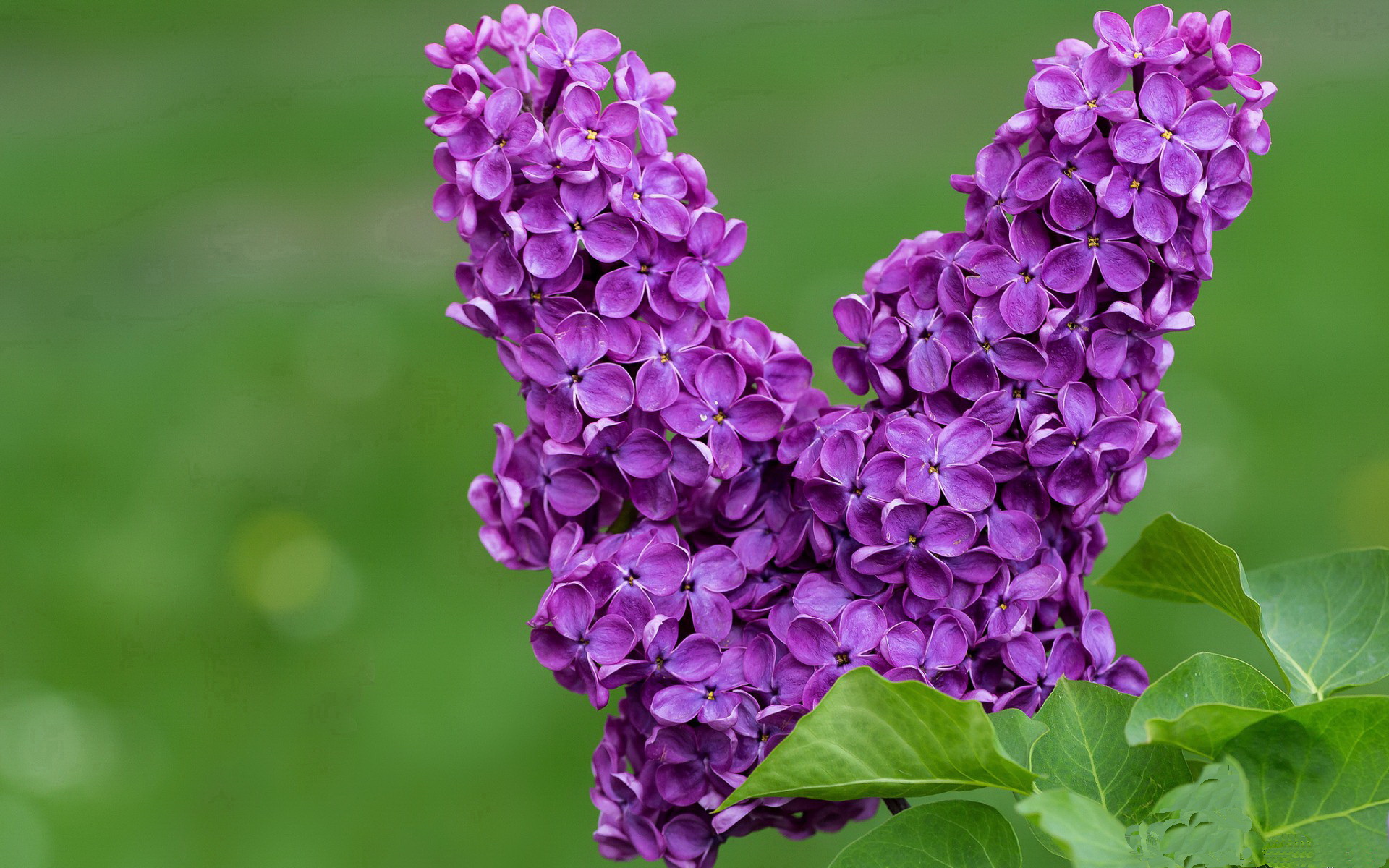 CBA球员合同谈判透明化 提升联赛规范性,cba新版球员合同规定