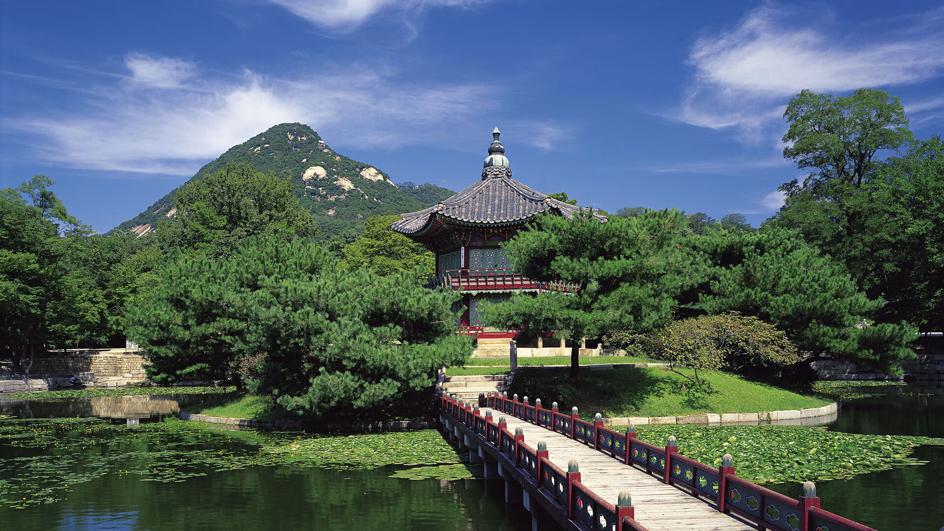 Chinese Taipei乒乓球队战术:从弱点挖掘到精准制敌,乒乓球在台湾叫什么