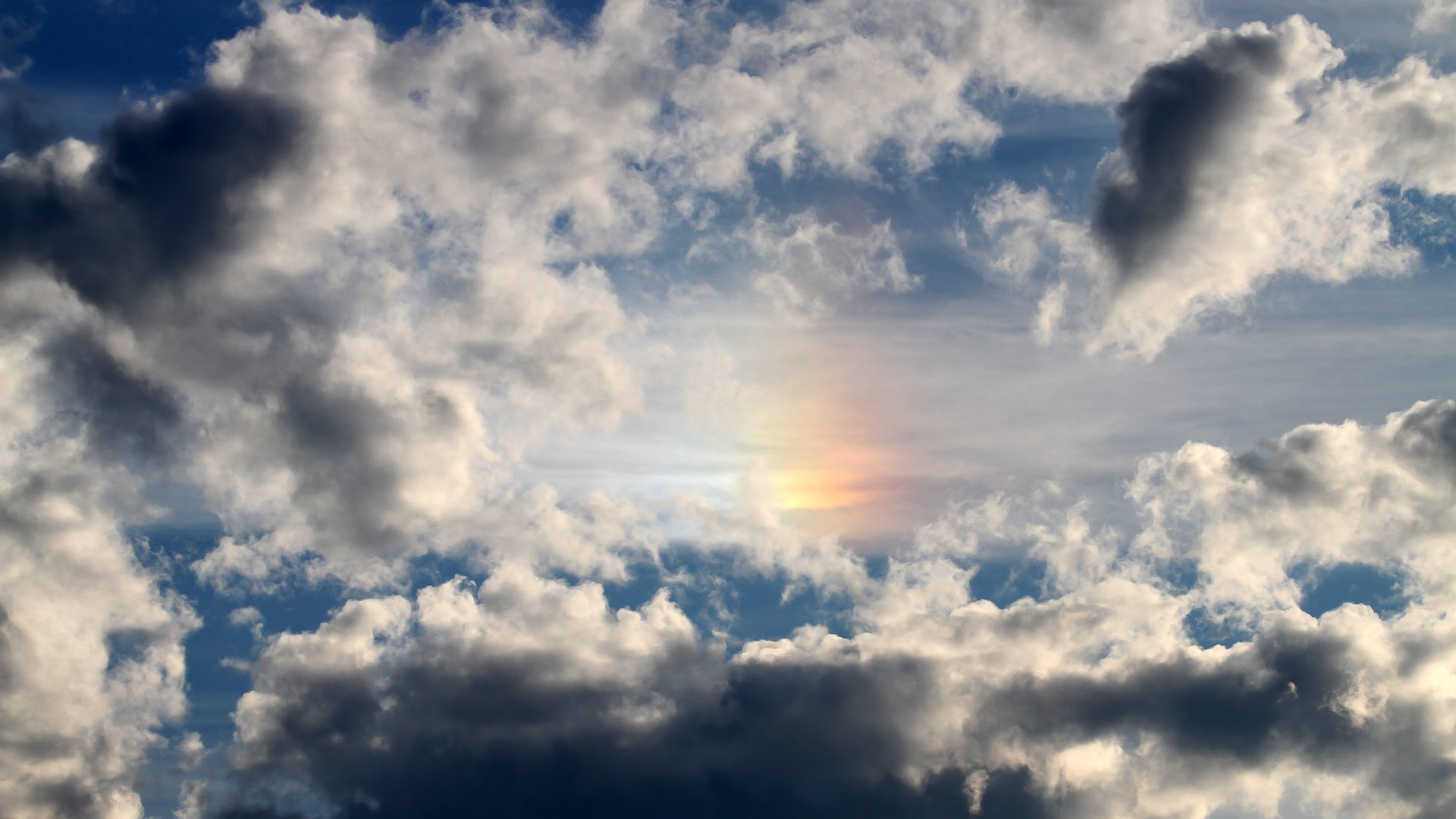 体育新闻中心协同高校推进体育新闻实训项目,体育新闻通讯