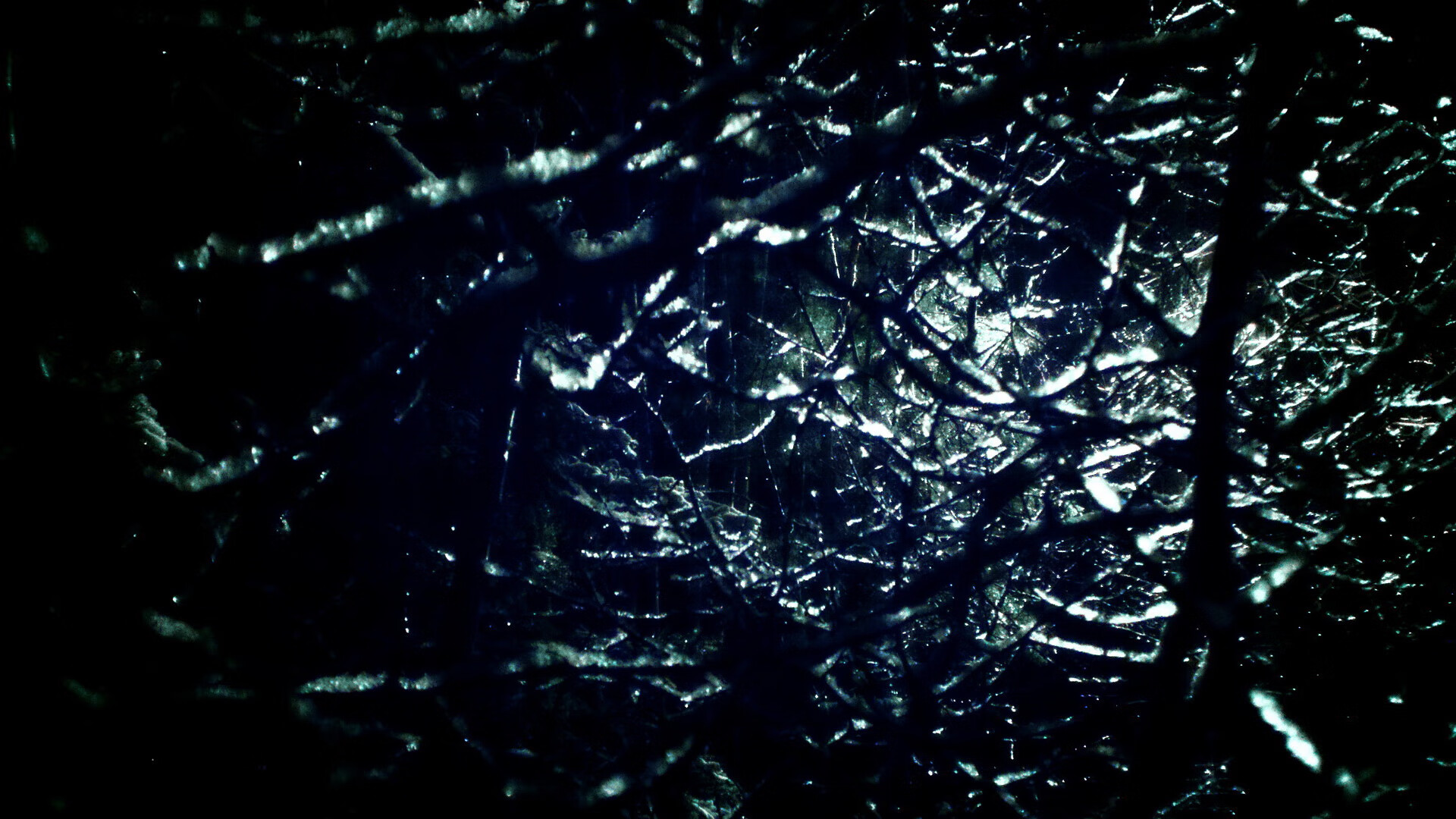 澳大利亚乒乓球未来计划:提升技术与战术的双重突破,澳大利亚乒乓球运动员最新情况