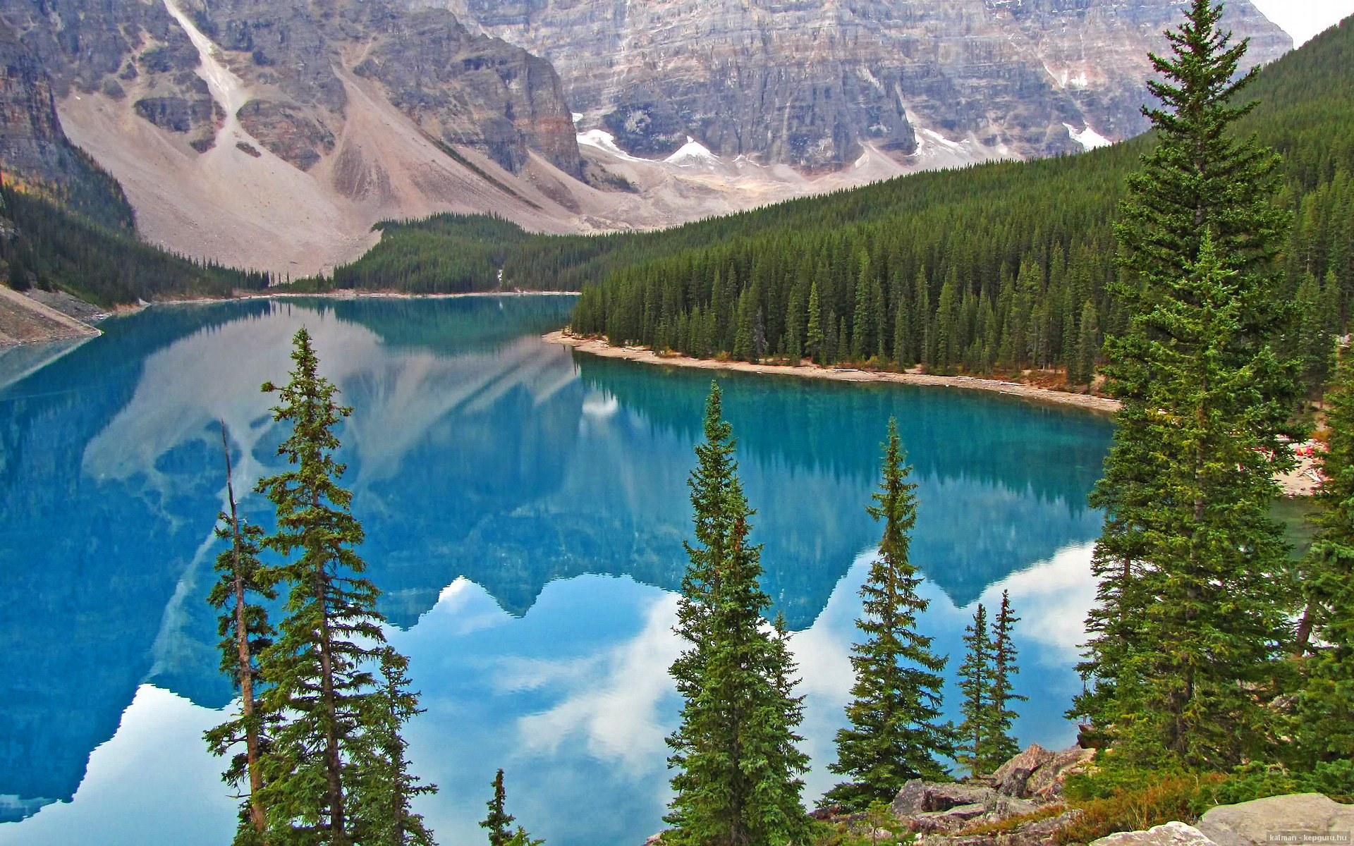 塔特的灵活突破能力,让袋鼠队的进攻更具威胁,塔特的灵活突破能力,让袋鼠队的进攻更具威胁